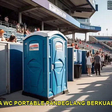 sewa wc portable pandeglang berkualitas